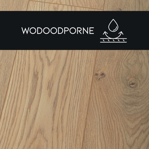 Panel laminowany Dąb Jantar - 87718