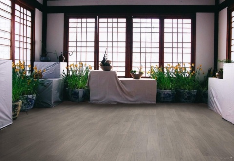 Panel laminowany Dąb Popielaty - 88236