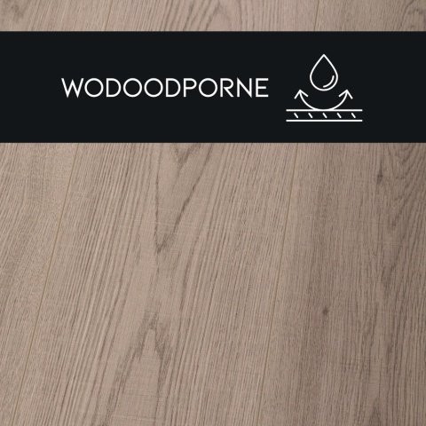 Panel laminowany Dąb Szlachetny - 88492