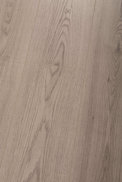 Panel laminowany Dąb Szlachetny - 88492