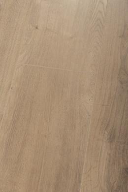 Panel laminowany Dąb Słowiański - 88648