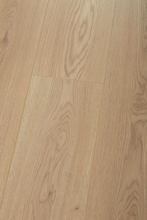 Panel laminowany Dąb Miodowy - 88493