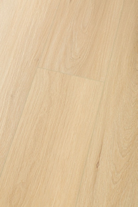 Panel winylowy Dąb Mistyczny - 99084